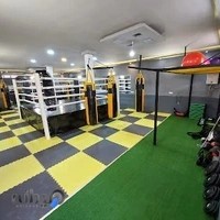 باشگاه بوکس شاهنامه