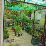 کلبه گل قوچان