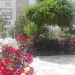 موسسه آموزش عالی حكيم نظامی