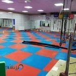 باشگاه فرهنگی ورزشی آریان