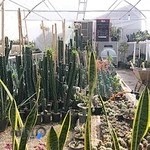 مازیار یوسفی