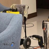 قالیشویی شاهد