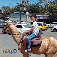 باشگاه سوارکاری سالار خراسان