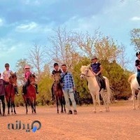 Ferdowsi Equestrian Club& exir ponyclub