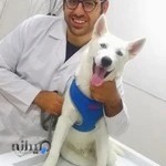 کلینیک دامپزشکی دکتر مکی پور