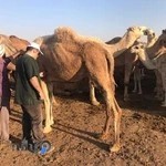 درمانگاه دامپزشکی دکتر قنواتی