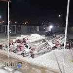 قالیشویی آریا یعقوبی