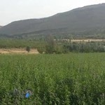 تعمیر صوتی وتصویری