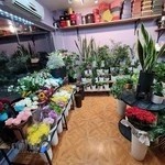 گل فروشی قو