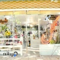 گلفروشی تولیپ