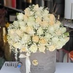 گلفروشی مرودشت