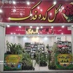 گلکده فدک