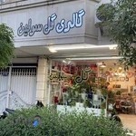 گالری گل سولین