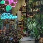 گلسرای دلبر