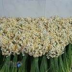 سالن زیبایی شایسته