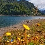 یوگا راز نشاط