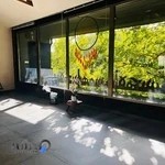 Shanti Yoga Studio Lavasan