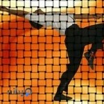 باشگاه کونگ فو