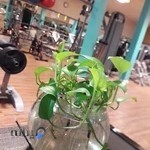 باشگاه ورزشی بانوان سرآمدان