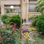 Nahid Cultural Institute مرکز آموزش زبان‌های خارجی