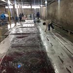 قالیشویی مکانیزه توحید