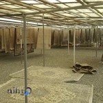 قالیشویی سعید