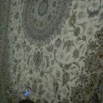 قالیشویی ارتین