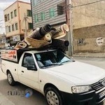 قالیشویی کارپواش