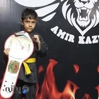 باشگاه هنرهای رزمی استاد کاظمی