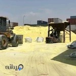 Azar Tash Toos Int Co.