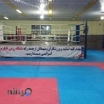 باشگاه رزمی تایگر