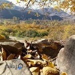 داروخانه شبانه روزی دکتر گلی