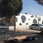 داروخانه دامپزشکی مهرگان بهنام