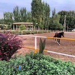 باشگاه سوارکاری پارس توسعه البرز