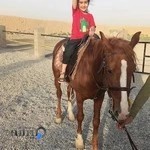 باشگاه سوارکاری بهارستان