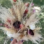 آتلیه عکس و فیلم مارک