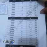 آژانس آزادی