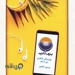 نمایندگی بیمه امید ، شکاری