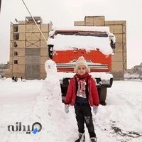 خدمات جرثقیل حمل ونقل بار