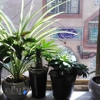 آموزشگاه طراحی و دوخت آناهیتا