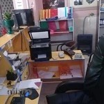 کافی نت نسیم