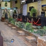 Green House Reall Satate