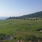 مشاورین املاک گلزار