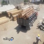 شرکت چوب البرز