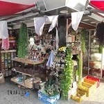 گالری گلچین