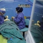 دکتر علی اصغر شیرازی