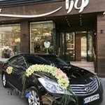 گلفروشی نوژا