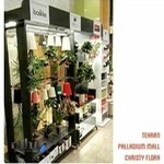فروشگاه کریستی فلورا