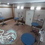 آرایشگاه حیوانات خانگی و پت شاپ پیمان