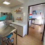 آرایشگاه حیوانات خانگی بیطار